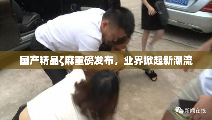 国产精品ζ麻重磅发布，业界掀起新潮流