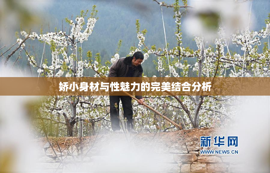 娇小身材与性魅力的完美结合分析