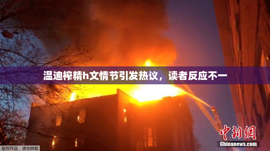 温迪榨精h文情节引发热议，读者反应不一