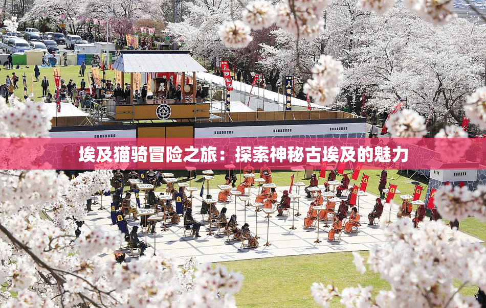 埃及猫骑冒险之旅：探索神秘古埃及的魅力