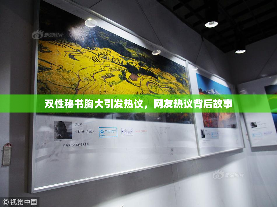 双性秘书胸大引发热议，网友热议背后故事