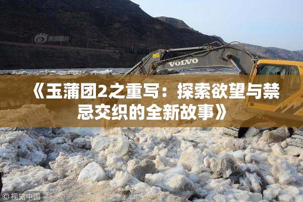 《玉蒲团2之重写：探索欲望与禁忌交织的全新故事》
