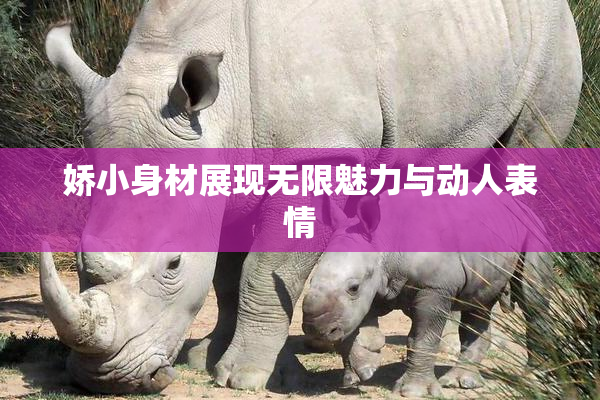 娇小身材展现无限魅力与动人表情