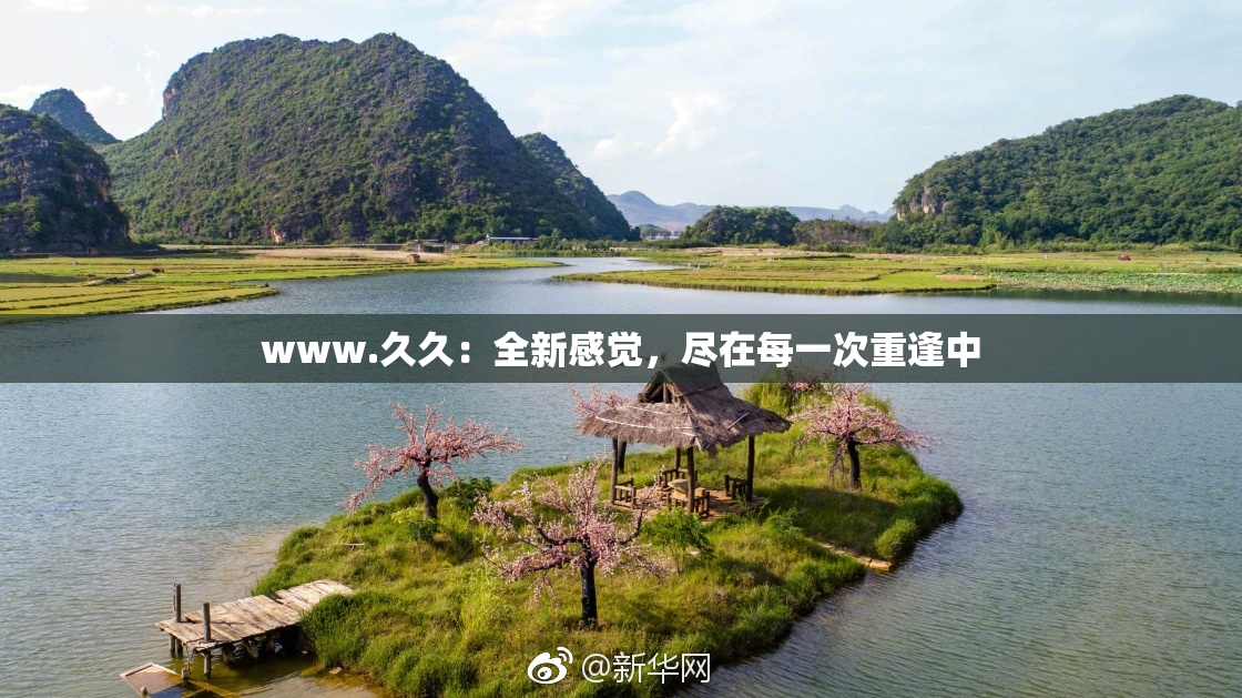 www.久久：全新感觉，尽在每一次重逢中