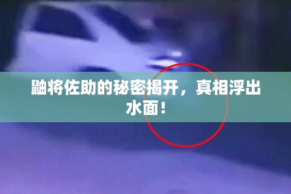鼬将佐助的秘密揭开，真相浮出水面！