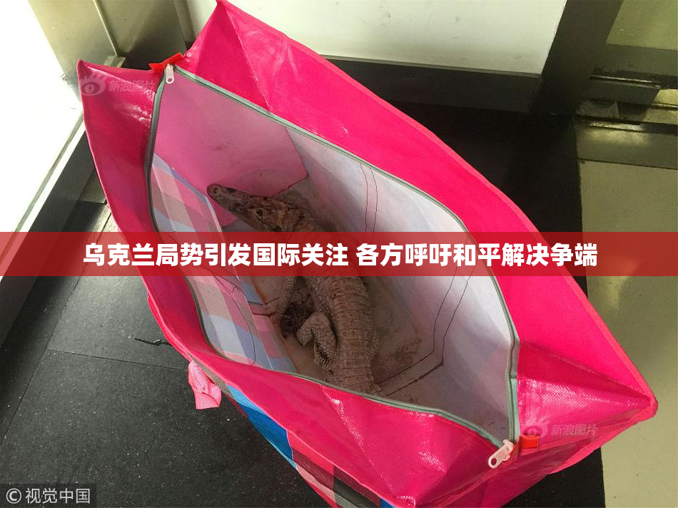 乌克兰局势引发国际关注 各方呼吁和平解决争端