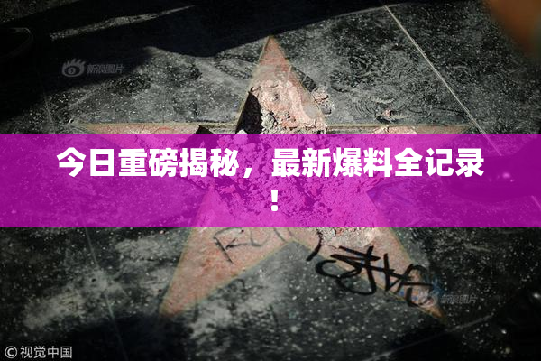 今日重磅揭秘，最新爆料全记录！