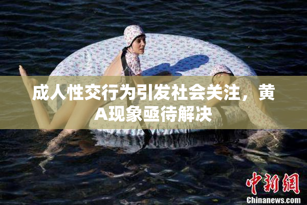 成人性交行为引发社会关注，黄A现象亟待解决