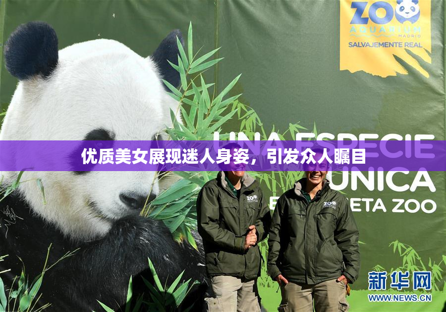 优质美女展现迷人身姿，引发众人瞩目