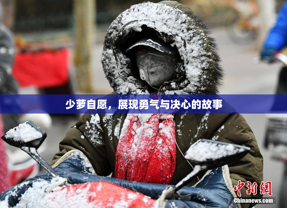 少萝自愿，展现勇气与决心的故事
