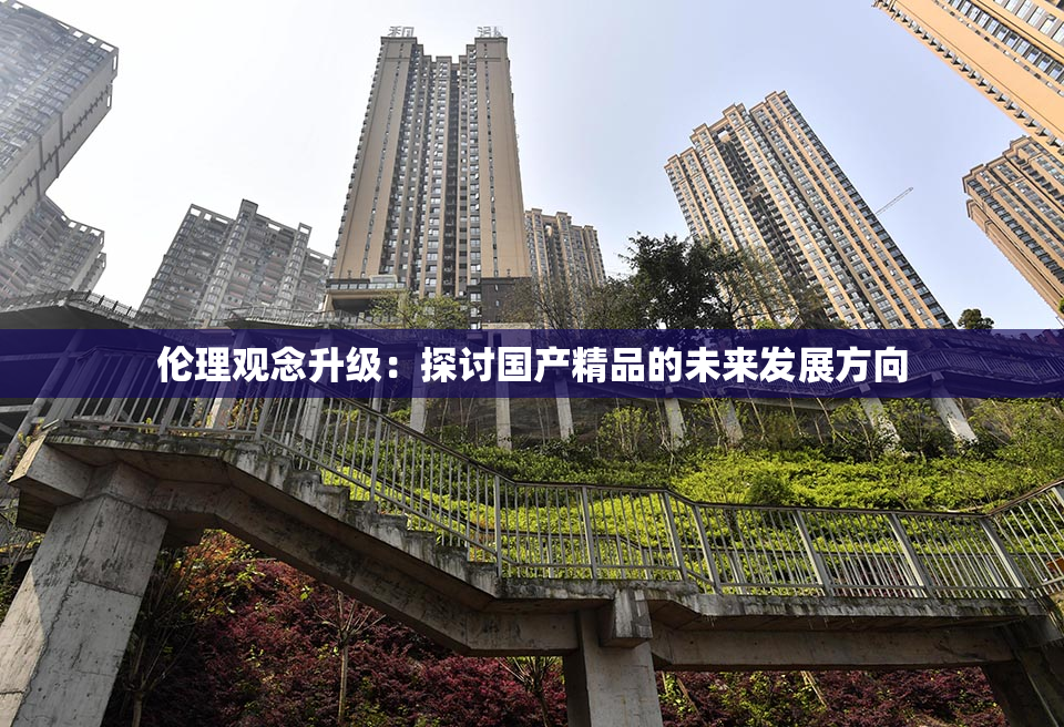 伦理观念升级：探讨国产精品的未来发展方向