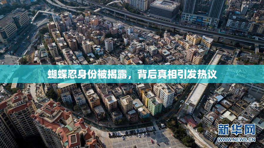蝴蝶忍身份被揭露，背后真相引发热议