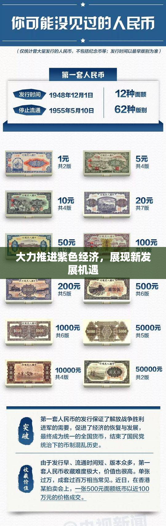 大力推进紫色经济，展现新发展机遇