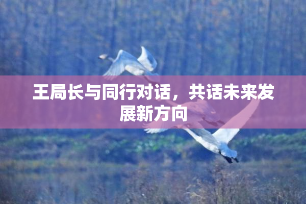 王局长与同行对话，共话未来发展新方向