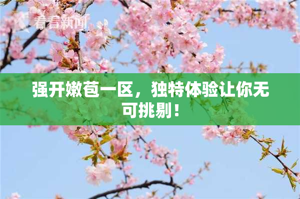 强开嫩苞一区，独特体验让你无可挑剔！