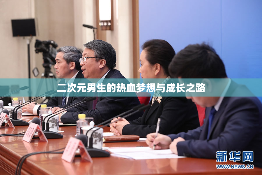 二次元男生的热血梦想与成长之路