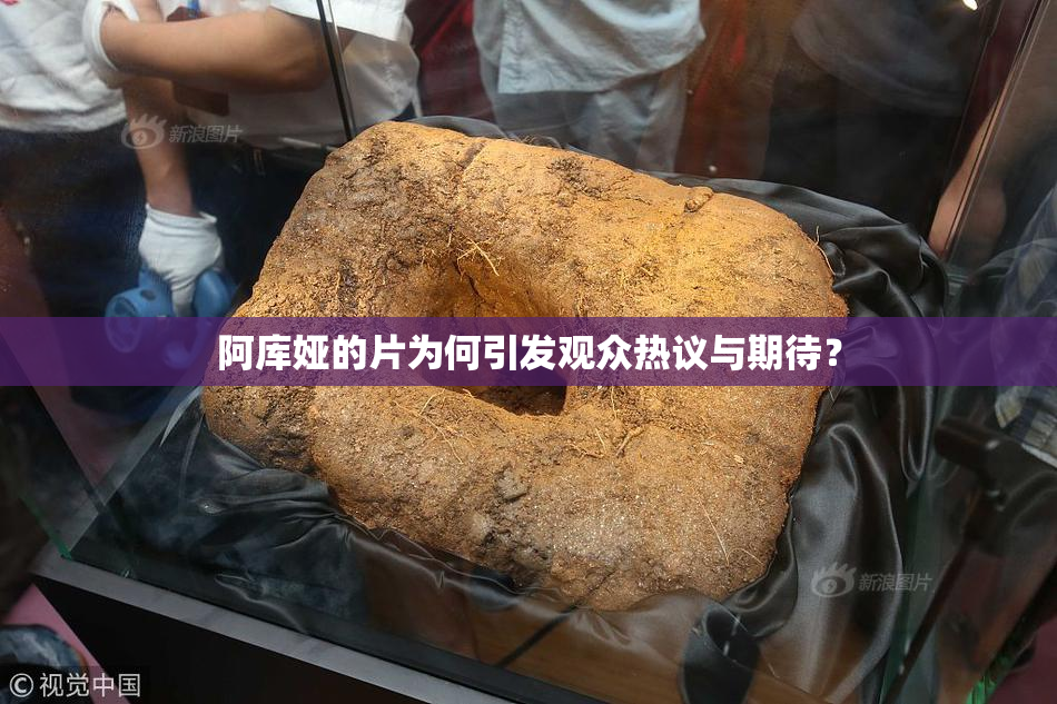 阿库娅的片为何引发观众热议与期待？
