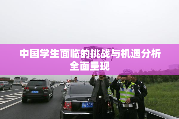中国学生面临的挑战与机遇分析全面呈现