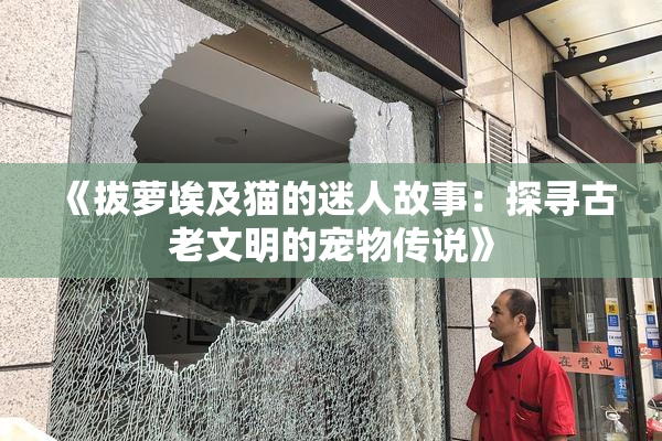 《拔萝埃及猫的迷人故事：探寻古老文明的宠物传说》