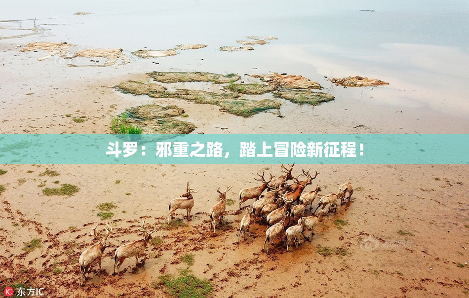 斗罗：邪重之路，踏上冒险新征程！