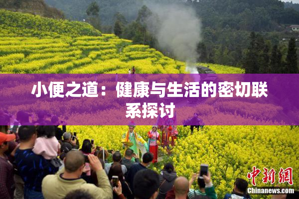 小便之道：健康与生活的密切联系探讨