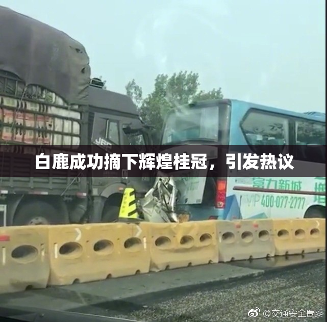 白鹿成功摘下辉煌桂冠，引发热议