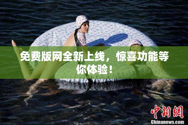 免费版网全新上线，惊喜功能等你体验！