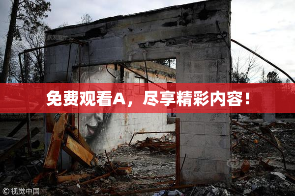 免费观看A，尽享精彩内容！