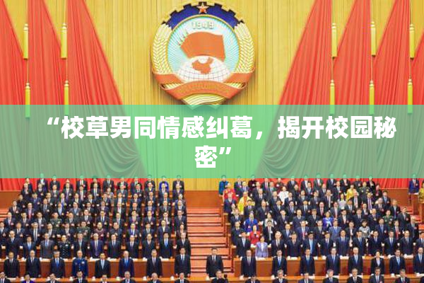 “校草男同情感纠葛，揭开校园秘密”