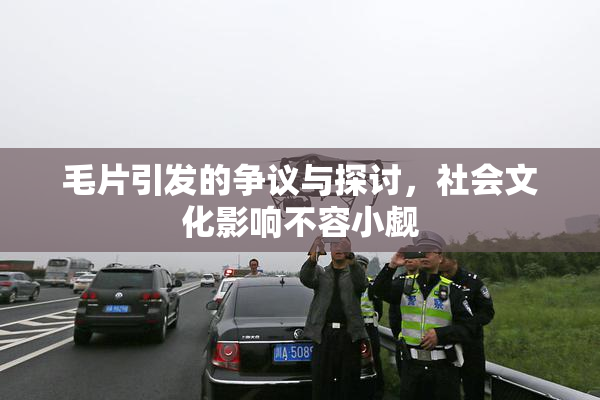 毛片引发的争议与探讨，社会文化影响不容小觑