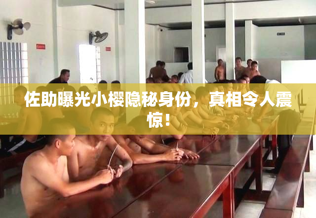 佐助曝光小樱隐秘身份，真相令人震惊！