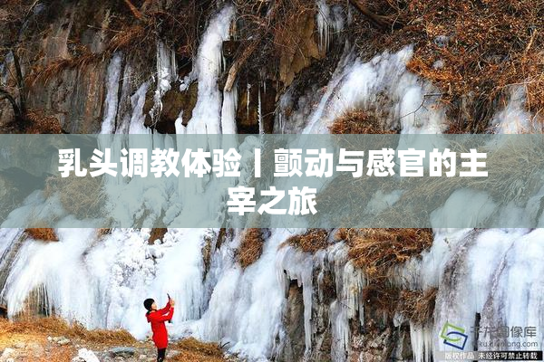 乳头调教体验丨颤动与感官的主宰之旅