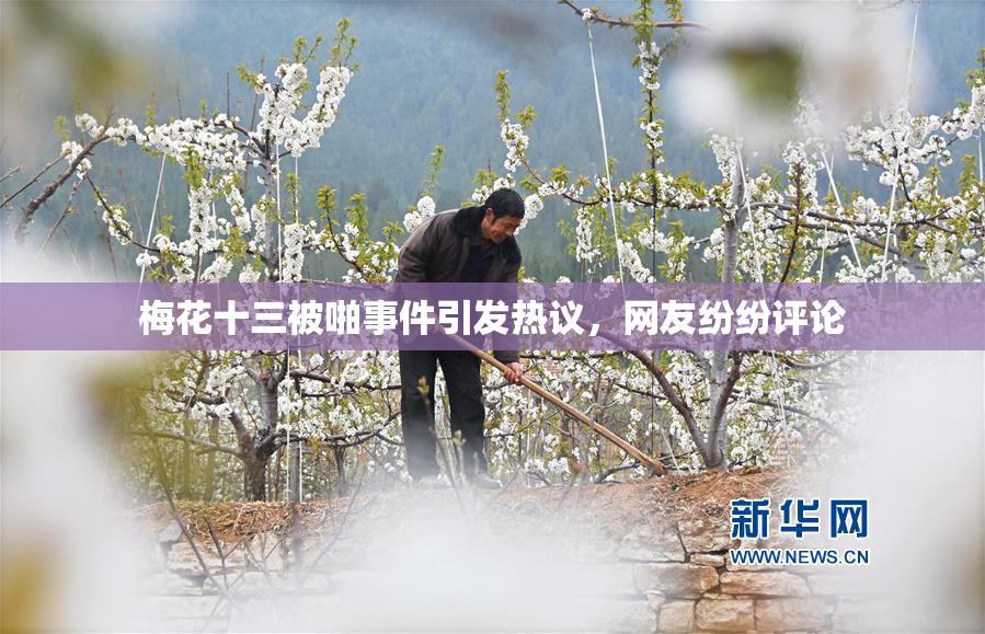 梅花十三被啪事件引发热议，网友纷纷评论