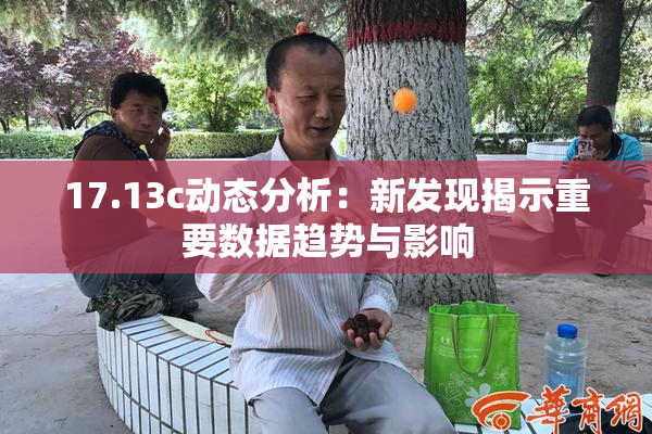 17.13c动态分析：新发现揭示重要数据趋势与影响