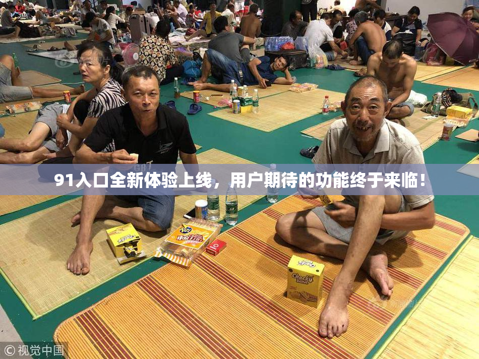 91入口全新体验上线，用户期待的功能终于来临！