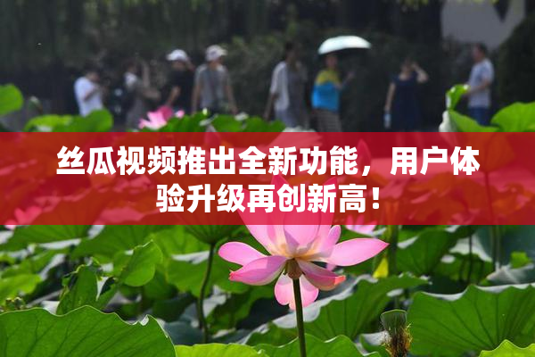 丝瓜视频推出全新功能，用户体验升级再创新高！