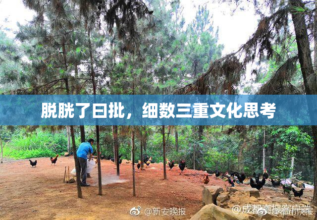 脱胱了曰批，细数三重文化思考
