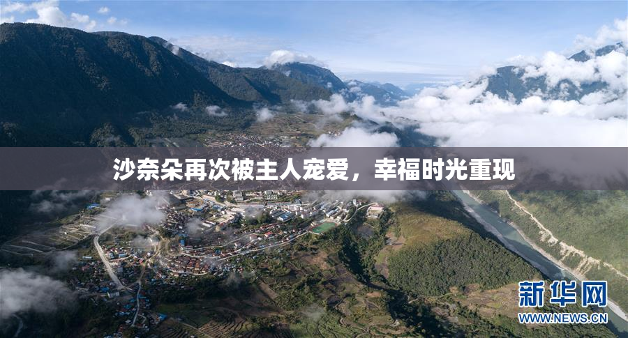 沙奈朵再次被主人宠爱，幸福时光重现