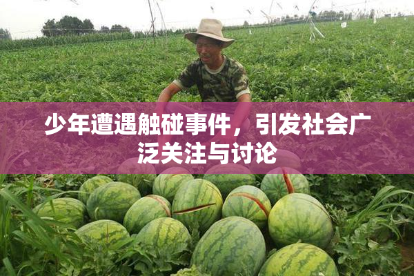 少年遭遇触碰事件，引发社会广泛关注与讨论