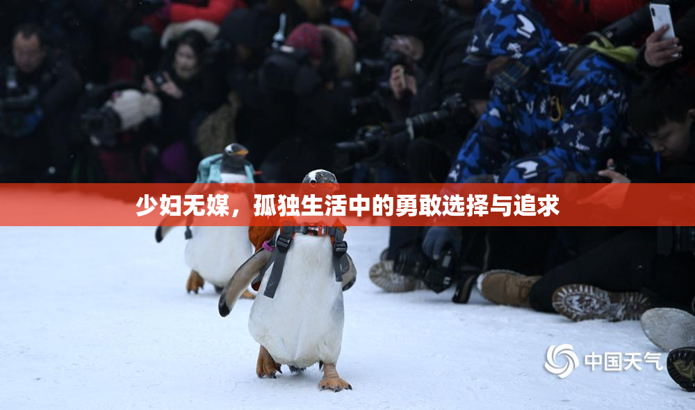 少妇无媒，孤独生活中的勇敢选择与追求