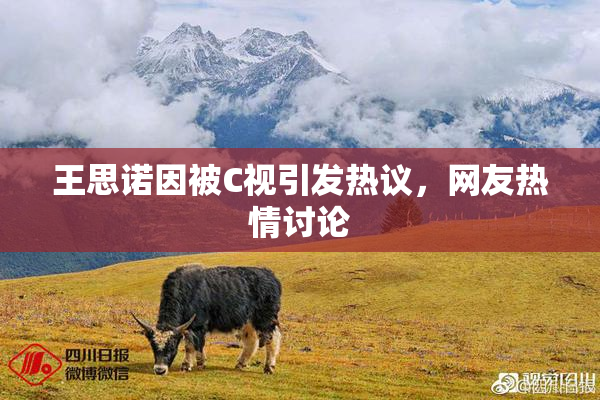 王思诺因被C视引发热议，网友热情讨论