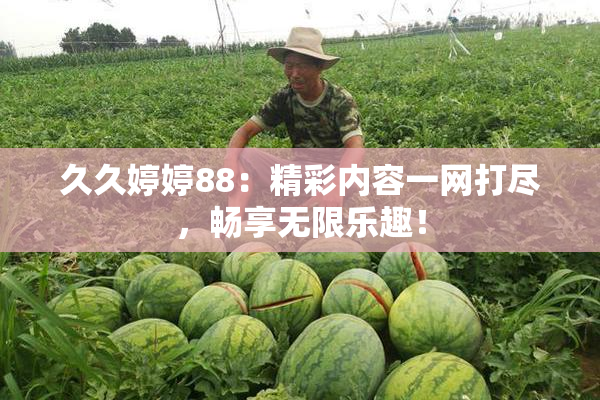 久久婷婷88：精彩内容一网打尽，畅享无限乐趣！