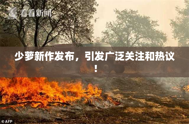 少萝新作发布，引发广泛关注和热议！