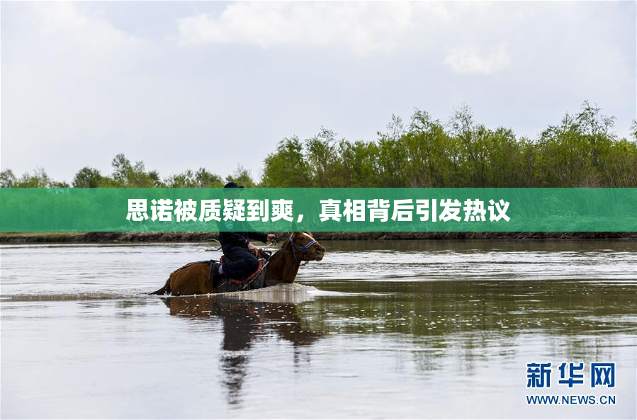 思诺被质疑到爽，真相背后引发热议