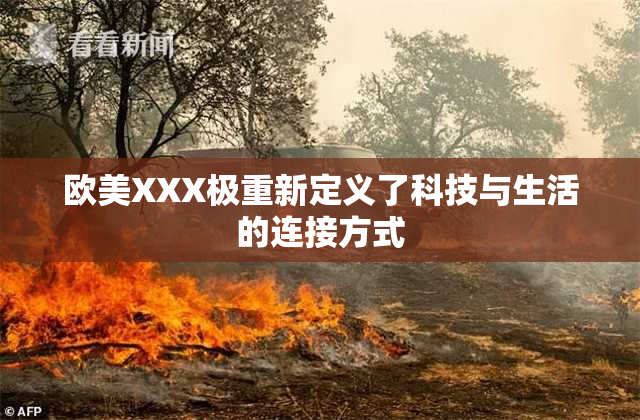 欧美XXX极重新定义了科技与生活的连接方式