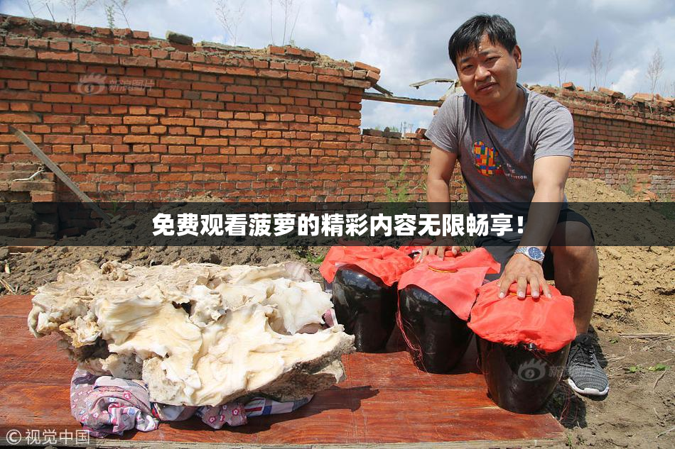 免费观看菠萝的精彩内容无限畅享！