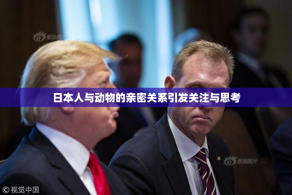 日本人与动物的亲密关系引发关注与思考
