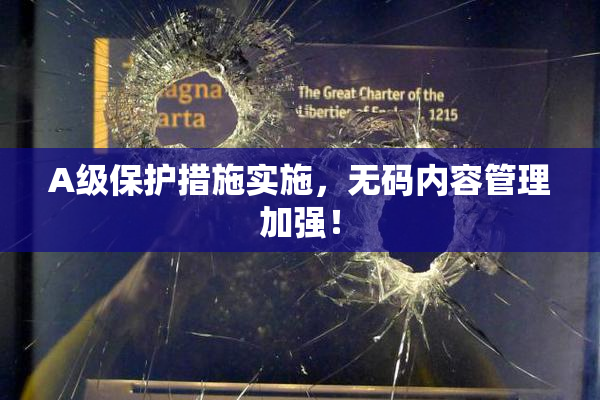 A级保护措施实施，无码内容管理加强！