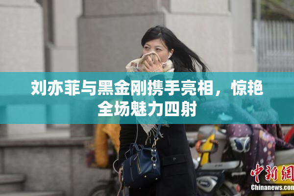 刘亦菲与黑金刚携手亮相，惊艳全场魅力四射