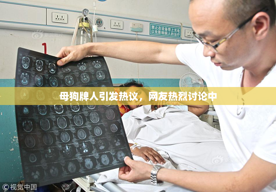 母狗牌人引发热议，网友热烈讨论中